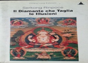 Copertina di Il diamante che taglia le illusioni